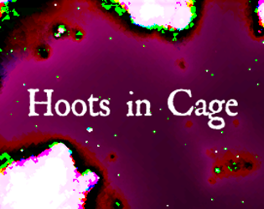 Hoots in Cage Game Cover