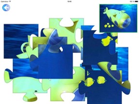 Smart Puzzle Jigsaw Game for Kids and Pupil Image