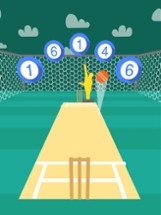Cricket Practice Image