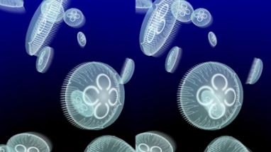 Jellyfish AR/VR Image