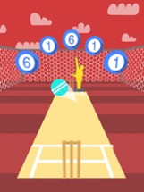 Cricket Practice Image