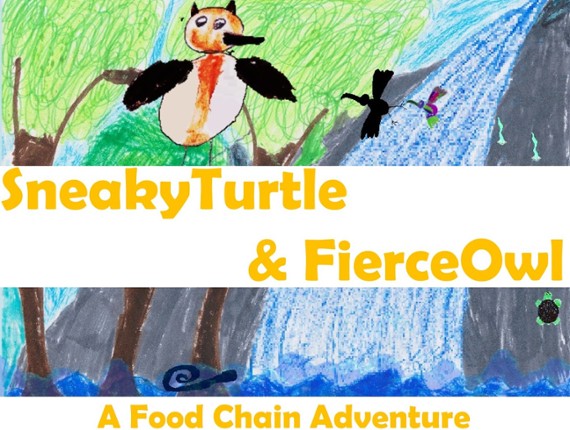 SneakyTurtle & FierceOwl Game Cover