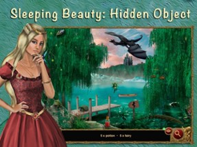 Hidden Object: Sleeping Beauty Image