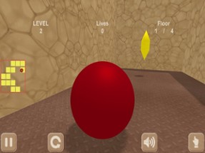 Red ball &amp; maze. Inside View Image