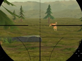 3D Deer Hunt King Image