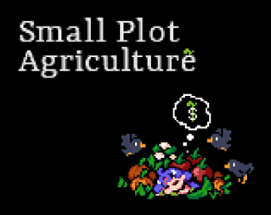 Small Plot Agriculture Image