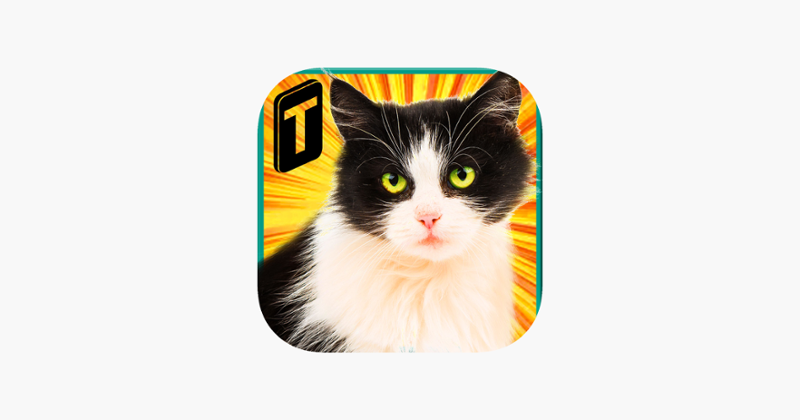 Street Cat Sim 2016 Game Cover