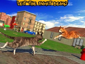 Street Cat Sim 2016 Image