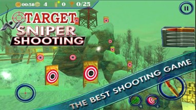 Target Sniper Shooting 3d Image