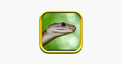 Snake Rampage - A Snake Game Image