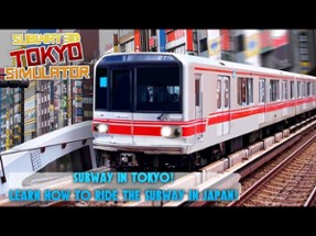Subway 3D Tokyo Simulator Image