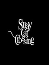 Stray Cat Crossing Image