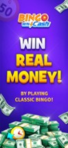 Bingo Cash: Win Real Money Image