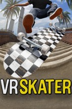 VR Skater Image