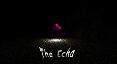 The Echo Image