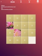 Flowers Slide Puzzle Image