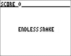 Endless Snake Image