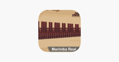 Marimba, Xylophone, Vibraphone Image