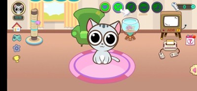 My Little Cat - Virtual Pet Image