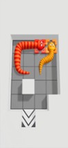 Snake Puzzle 3D Image