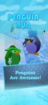 Penguin Run 3D HD Image