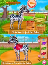 Zebra Caring Image