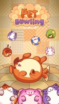 Pet Bowling - Flick &amp; Sliding Puzzle of Virtual Animals for Kids Image