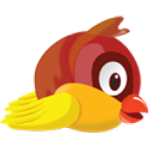 Pollito Image