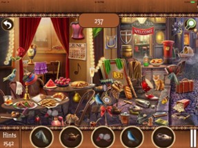 Hidden Objects:Big Home Mania Image