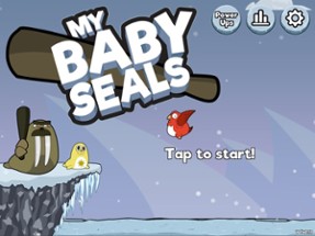 My Baby Seals Image