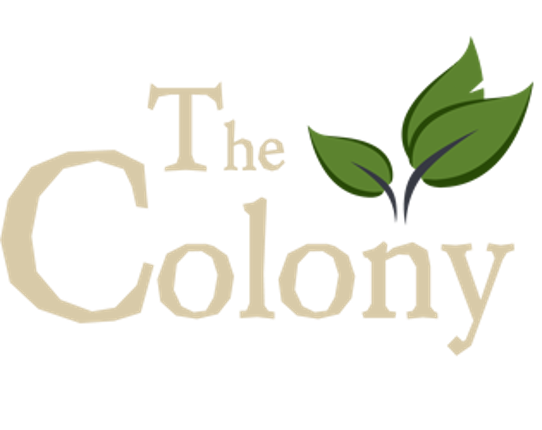 The Colony Game Cover