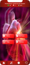 Cardiovascular System Trivia Image