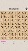 Five Word Search Image