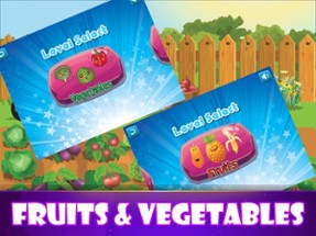 Fruits And Vegetables Learn Image
