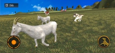 Sheep Herding Dog Simulator Image