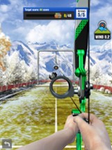 Archery Pro - Bow &amp; Arrow Image