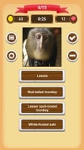 Monkeys - Quiz Image