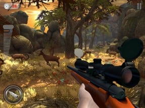 Deer Hunting Sniper 3D Image