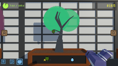 Bonsai Season Image