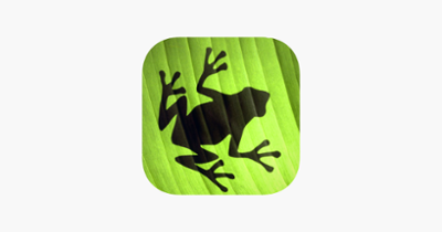 Jumping Frog Strategy Image