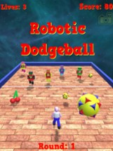 Robotic Dodgeball Image