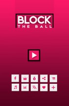 Block the Ball Image