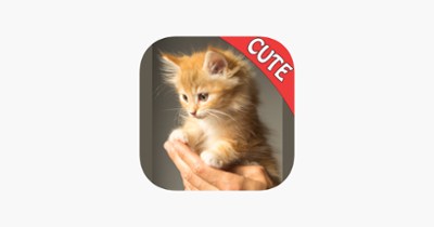 Cute Cats Memory Match Game Image