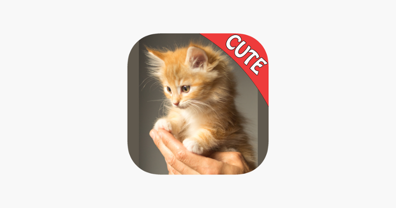 Cute Cats Memory Match Game Game Cover