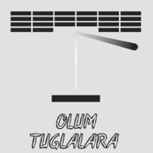 Tuğlalara Ölüm - Death to Bricks Image