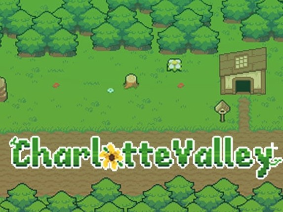 Charlotte Valley Game Cover