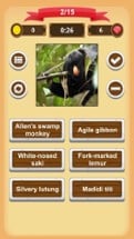 Monkeys - Quiz Image