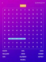 Word Search Primary Image