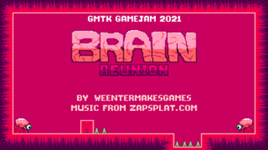 Brain Reunion Image