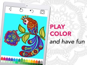 Coloring Book for Adults + Image